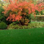giardino-castelcucco