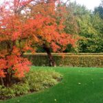 giardino-castelcucco