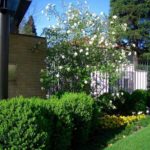 realizzazione-giardino-milan