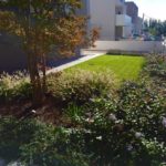 realizzazione-giardino-montebelluna