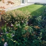 realizzazione-giardino-montebelluna