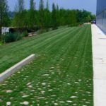 realizzazione-giardino-pederobba-treviso